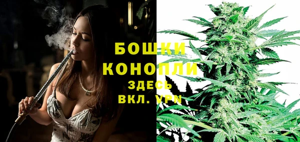 прущая мука Гусев