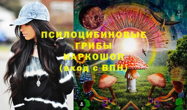 молекула духа Белокуриха