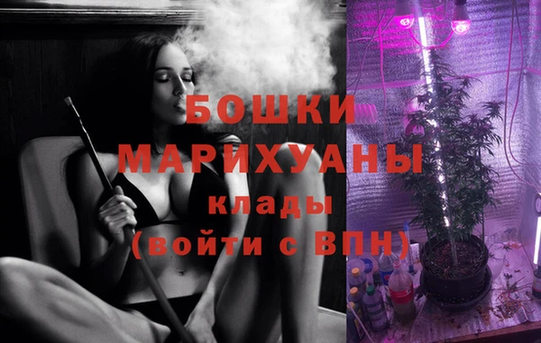 молекула духа Белокуриха