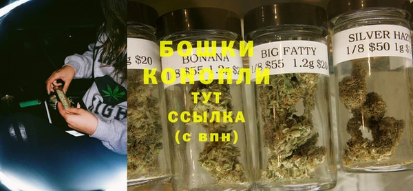 молекула духа Белокуриха