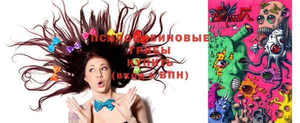 гашик Зерноград