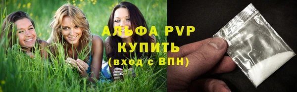молекула духа Белокуриха