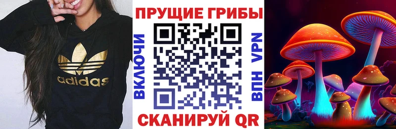 Псилоцибиновые грибы Magic Shrooms  Борисоглебск 