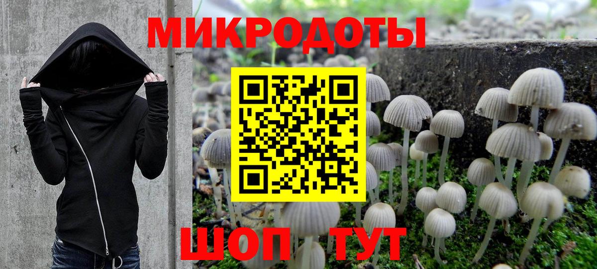 Псилоцибиновые грибы GOLDEN TEACHER  Вход с VPN  Борисоглебск 