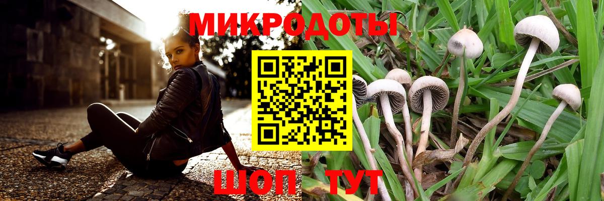 Псилоцибиновые грибы мицелий Борисоглебск